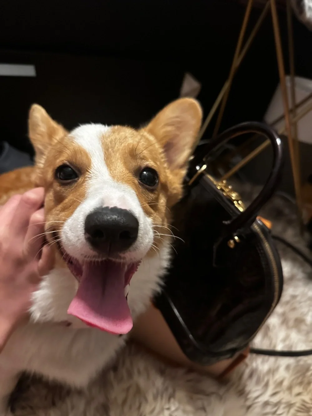 Louis Vuitton Alma BB